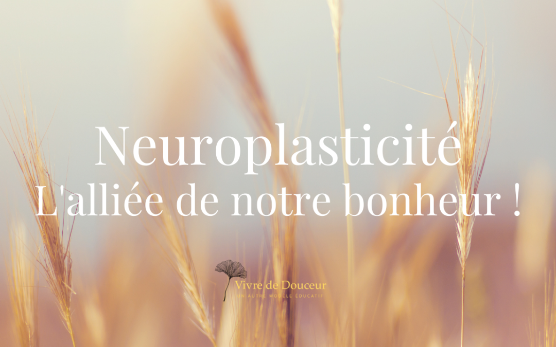 La neuroplasticité : alliée de notre bonheur 🌿